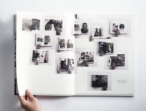 國(guó)外“僅供瀏覽”書(shū)籍的裝幀設(shè)計(jì) 從功能到藝術(shù)的探索